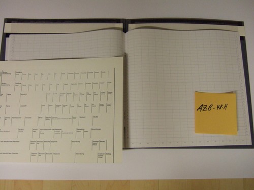 Hig journal fremdenbuch - hig,